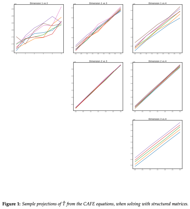 CAFE Field equations